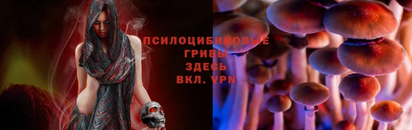 ГАЛЛЮЦИНОГЕННЫЕ ГРИБЫ Покровск