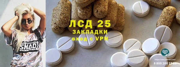 ГАЛЛЮЦИНОГЕННЫЕ ГРИБЫ Покровск