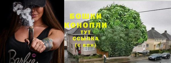 ГАЛЛЮЦИНОГЕННЫЕ ГРИБЫ Покровск